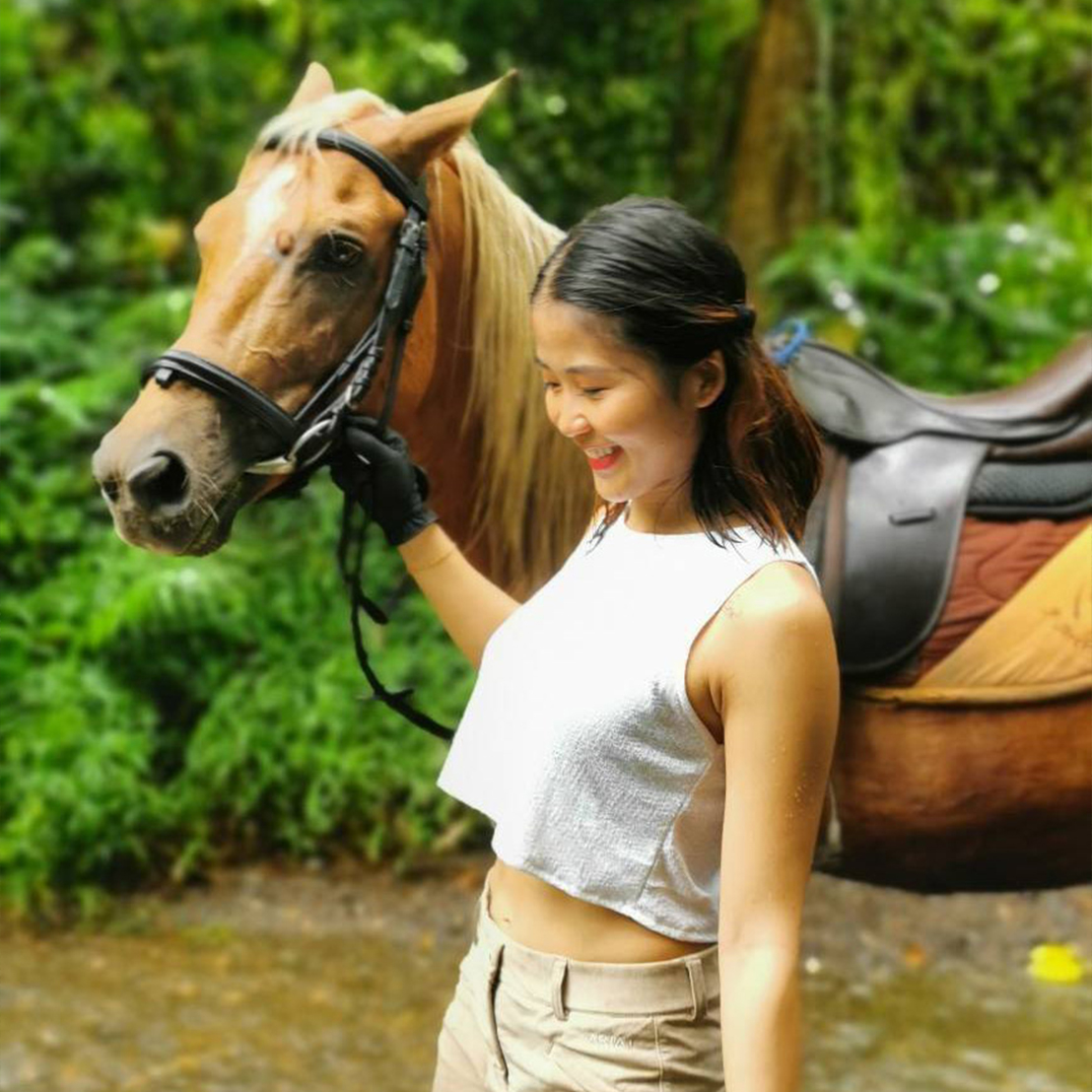 Horse Rental