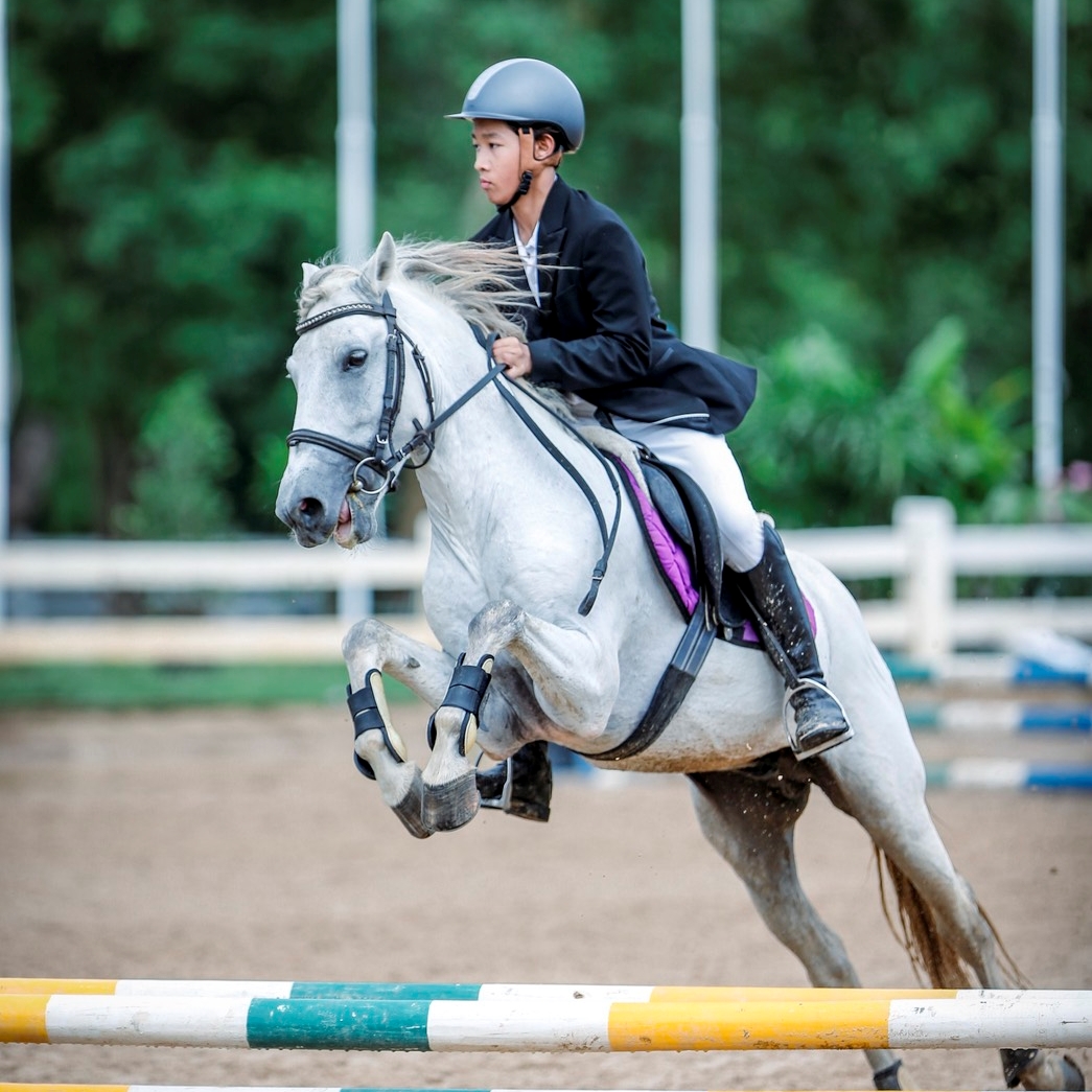 Basic Riding Courses