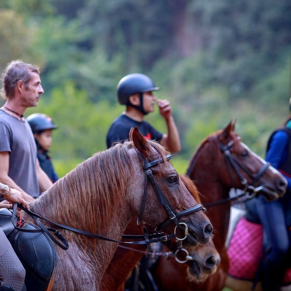 Trail Riding
